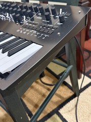 Korg Minilogue PG Limited Edition 4-Voice Polyphonic Analog Synthesizer
