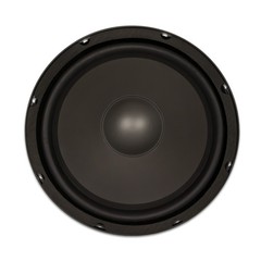 2 Goldwood Sound GW-10PC-8 Heavy Duty 8ohm 10″ Woofers 400 Watts each Speakers