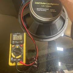 B-52 LG-1208A Replacement Speaker 8Ohms 100 Watts 12”