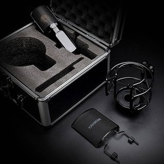 TAKSTAR XLR Condenser Microphone with 34mm Gold-Plated Large Diaphragm, High …