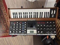 Moog Minimoog Voyager Performer Edition