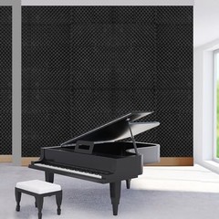 24 Pack Acoustic Panels Foam for Walls, 2″x12″x12″ 12″x12″x2″ Black-24 Pack
