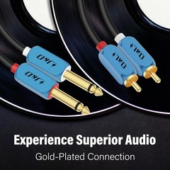 J&D Dual 1/4 inch TS to RCA Stereo Audio Interconnect Cable, 6 Feet