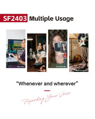 Simplefly SF2403 Analog Dual-Channel 24bit/192kHz AD/DA Converter w/ USB-C