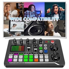 Professional Audio Mixer, SINWE Live Sound Card and Audio Interface with DJ M…