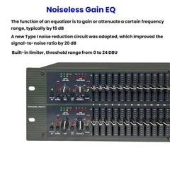 2231 Equalizer Anti-Feedback Audio Performance Stage Conference Effects Processo