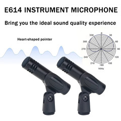 E614 Pro Drum Condenser Microphone with Windscreen & Clamp Mount