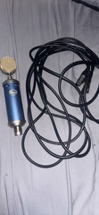 Bluebird condenser mic