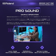 Roland BRIDGE CAST ONE BRC-ONE Dual Bus Gaming Streaming Mixer Black NEW Japan