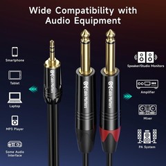 Cable Matters 3.5Mm TRS to Dual 6.35Mm TS Breakout Cable – 6Ft, 1/8 to 1/4 Stere