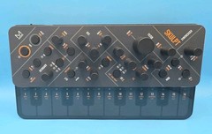 Modal Electronics Skulpt Synthesizer 16-Key 4-Voice Wavetable Tested Working