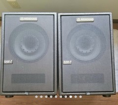 Redsound ELIS.8 Active Wired FRFR Monitors Pair -Black