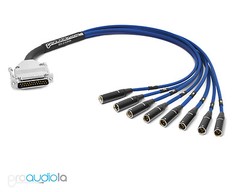 Premium DB25 D-SUB Snake Mogami 2932 | Neutrik Rean Mini XLR-Male | Blue 40 ft.
