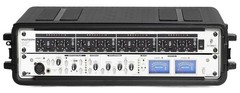 Diandian 2U Rack Case Shallow 11″ Depth, 19″ Rackmount Flight Case, Watertigh…
