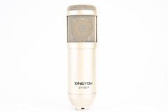 ZINGYOU ZY-801 Professional Studio Cardioid Microphone V24