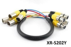 2ft Pro XLR 4-Channel M to F Balanced Audio Snake Cable, CablesOnline XR-S202Y