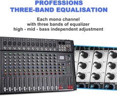 DT12 12-Channel DJ Audio Mixer with USB, Bluetooth, XLR & RCA Input