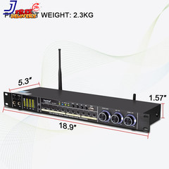 Depusheng REV3900 Pre Effector Professional KTV Household Karaoke Multieffect