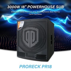 PRORECK 18 inch Powered Subwoofer 2000W Stage Live Sound Concert Bass Speaker