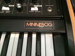 BLACK Color MOOG VOYAGER XL /Limited Minimoog XL/SYNTHESIZER/Synth// ARMENS
