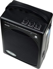 Wireless Microphone System for Voice Amplification