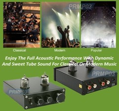 Premium Tube Amplifier With Rotary Treble Bass Control + 40 Watt RMS Output