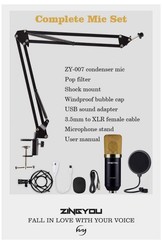 ZINGYOU ZY-007 Wired Condenser Microphone Kit w/ Shock Mount Gold/Black