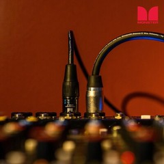 Monster 30 Ft Prolink Performer 600 Microphone Cable