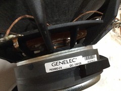 Genelec P830582 (Black) 12”