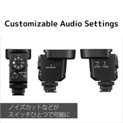 SONY ECM-M1 Shotgun Microphone Multi Pattern Camera Mounted Mic Audio Recording