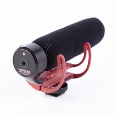 Rode VideoMic GO On-Camera Microphone with DeadCat Wind Shield – SKU#2070340
