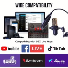 5 Core RM 8 BG Wired Professional Condenser Microphone Kit with Mixer