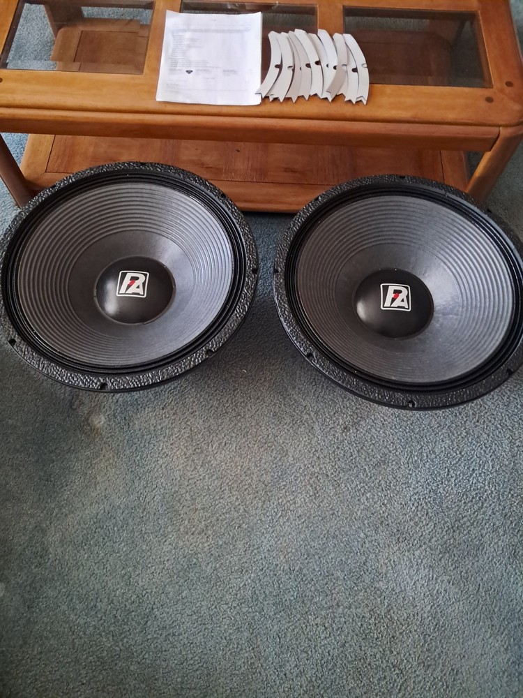 P Audio 21 Inch Subwoofers