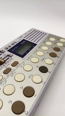 Suiko ST-70 Shigin Poetry Synthesizer Japanese Koto Ambient Drone Tested