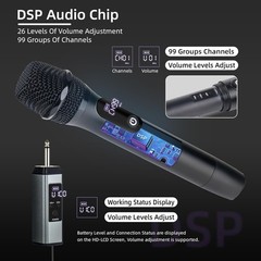 2PCS Wireless Professional Microphone Handheld Mic System Karaoke w/Receiver