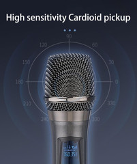 Wireless Microphone, Rechargeable Fixed Frequency Wireless Dual Microphone,Handh