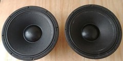 BELISLE ACOUSTIC LABORATORIES TRANSPARENCE 12 mb 800 WOOFER CANADA RARE