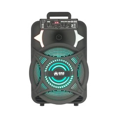 EMB PKL12BT 1000w 12″ Trolley Speaker with AUX, Lights, FM, USB with Bluetooth