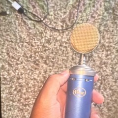 Bluebird condenser mic