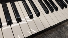 Akai Professional MPK49 – USB/MIDI Keyboard Controller – Popped Out F8 Lever
