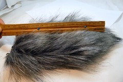 Comica 7″ long Fur windshield Muff Blimp Cover Hole 35-40mm