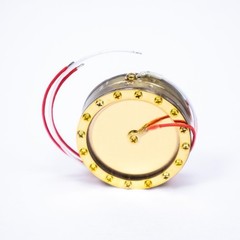 32mm Dual Diaphragm Gold Microphone Capsule for Rode NT1, NT1-A, NT2, NT2-A