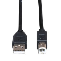 Hosa USB-210AB High Speed Type A/Type B USB Cable, 10′