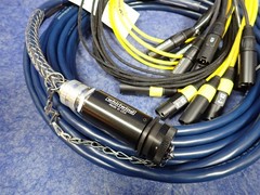 Whirlwind FM120NRW1IF-050 39Pin W1IF-W13M 12CH Fan Out Snake XLR Cable 50′ (J3)