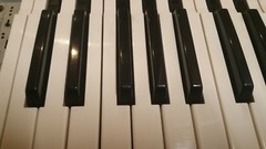 Yamaha DX7 2 FD Replacement Key A,B,C,D,E,F,G, Sharp or Flat, black key