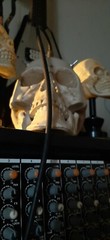 Skull optical theremin synthesizer drone circuit bent