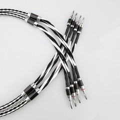 Pair 16Strands 8N OCC Silver Plated Core Braided Hi-End HiFi Audio Speaker Cable