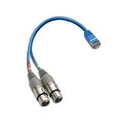 StudioHub ADAPTM-XLRFD RJ-45 to Dual XLR Female Adaptor Cable (6 Inch)