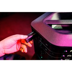 Bose Wireless Mic/Line Transmitter – (WT-XLR) for S1 Pro+