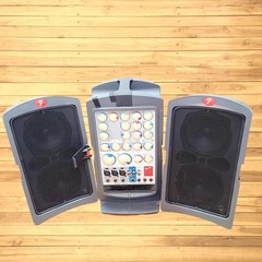 *UNTESTED & POSSIBILY DEFECTIVE* FENDER PASSPORT P-150 PORTABLE SOUND SYSTEM